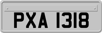 PXA1318