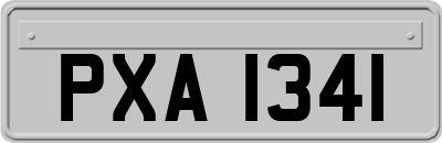 PXA1341