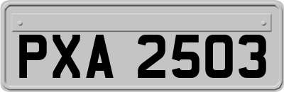 PXA2503