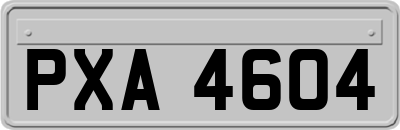 PXA4604