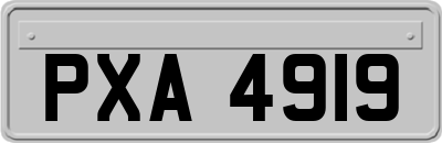 PXA4919