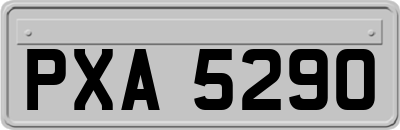 PXA5290