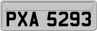 PXA5293