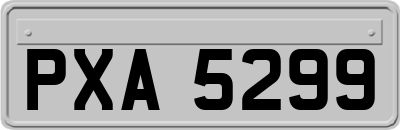 PXA5299