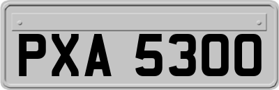 PXA5300