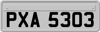 PXA5303