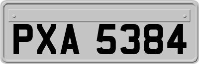 PXA5384