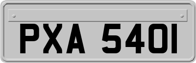 PXA5401