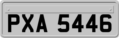 PXA5446