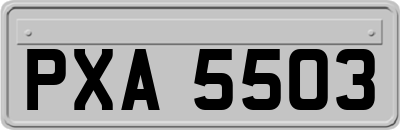 PXA5503