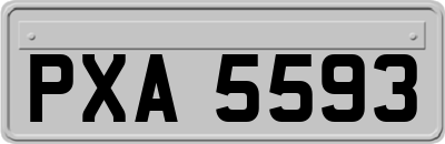 PXA5593