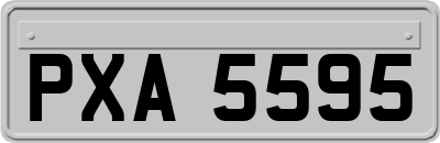 PXA5595