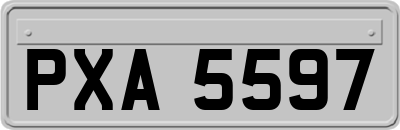 PXA5597