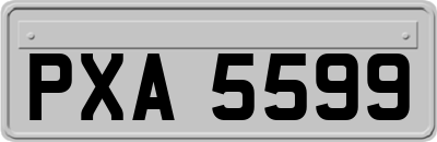 PXA5599