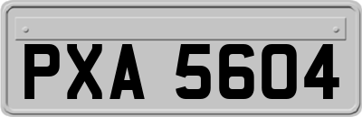 PXA5604