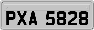 PXA5828