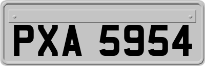 PXA5954