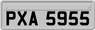 PXA5955