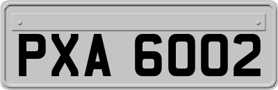 PXA6002