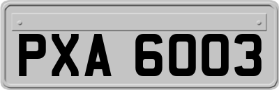 PXA6003