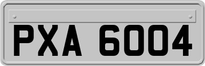 PXA6004