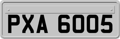 PXA6005