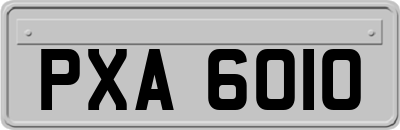 PXA6010