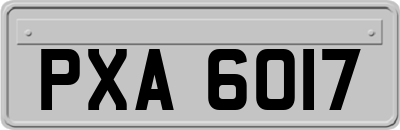 PXA6017