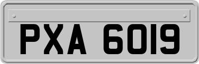 PXA6019