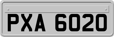 PXA6020