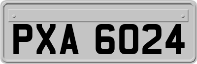 PXA6024