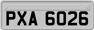 PXA6026