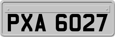 PXA6027