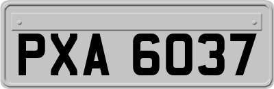 PXA6037