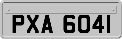 PXA6041