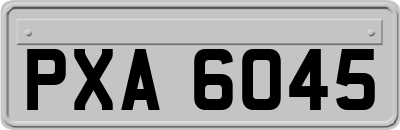 PXA6045