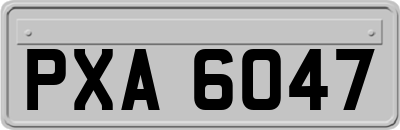 PXA6047