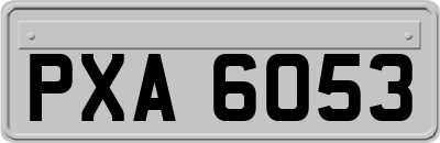 PXA6053