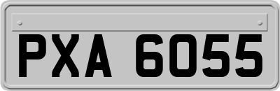 PXA6055