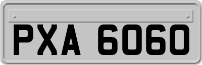 PXA6060