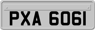 PXA6061