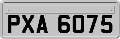 PXA6075