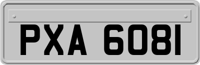 PXA6081