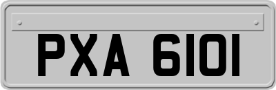 PXA6101