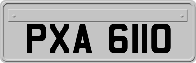 PXA6110