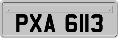 PXA6113