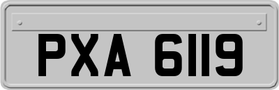 PXA6119