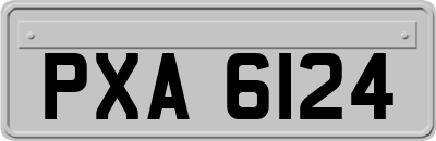 PXA6124