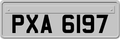 PXA6197