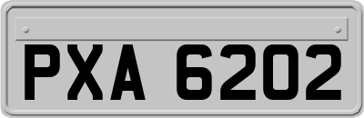 PXA6202